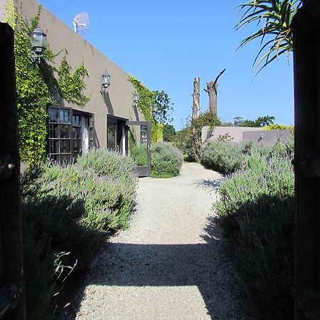 Plett River Lodge Plettenberg Bay Eksteriør billede