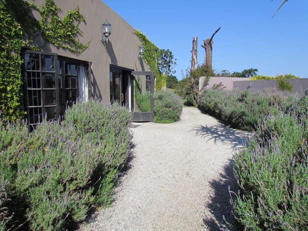 Plett River Lodge Plettenberg Bay Eksteriør billede